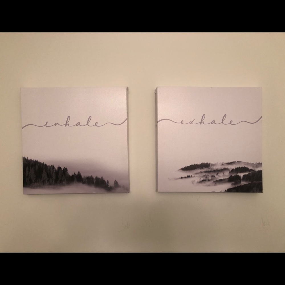 Wall art - Set of Two Canvas